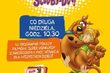 Filmowe poranki ze Scooby-Doo. Konkursy i wspólna zabawa