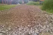 Nieprzejezdne drogi, gruz na ulicach. Czytelniczka prosi o pomoc