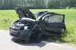 Zderzenie z łosiem. Trzy osoby w szpitalu