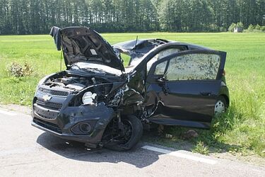 Zderzenie z łosiem. Trzy osoby w szpitalu