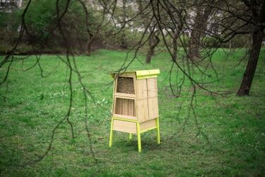 Miały powstać hotele dla pszczół, ale miasto ich nie chce