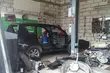 Mafia samochodowa rozbita. W dziupli były kradzione auta