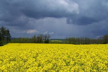 Piątek ze zmianami w pogodzie