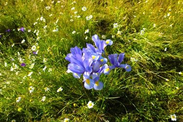 W pogodzie bez zmian. Słonecznie i ciepło