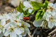 Piątek z większą ilością chmur i niższą temperaturą