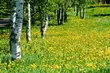Weekend z dużą ilością chmur i deszczem