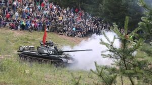 Podlaski Piknik Militarny. Tłumy osób odwiedziły imprezę [ZDJĘCIA]