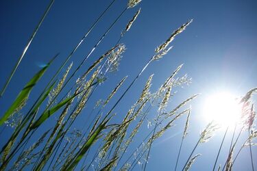 Pogoda na piątek. Słonecznie i bez opadów