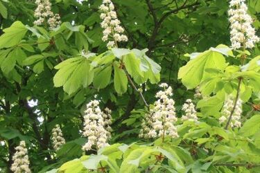 Wyniki matur. Maturzyści z Podlaskiego prawie najlepsi w kraju