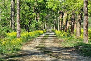 Pogoda na weekend. Słonecznie i upalnie