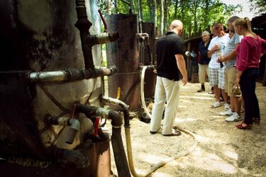 Najlepsze podlaskie potrawy i leśna bimbrownia. Festyn w skansenie