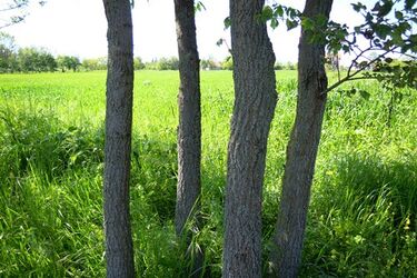 Pogoda na środę. Słonecznie i gorąco