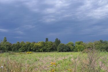 Pogoda na piątek. Więcej chmur i chłodniej