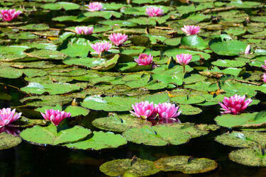 Pogoda na weekend. Słonecznie i upalnie