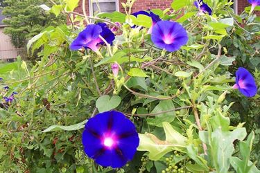 Słoneczny i gorący początek tygodnia