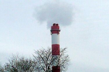 APS będzie współpracował z wiedeńską firmą. Zarobi 4 mln zł