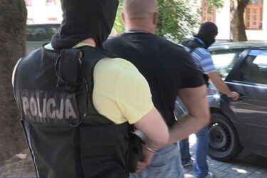 14 skinów zatrzymanych. Handlowali narkotykami, czerpali korzyści z nierządu [ZDJĘCIA]