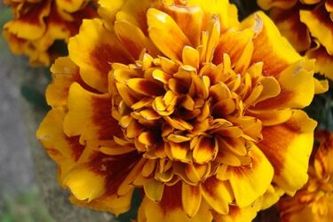 Pogoda na piątek. Temperatura wzrośnie do 30 stopni