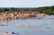 Upał za oknem. Gdzie w naszym regionie wybrać się na kąpielisko?