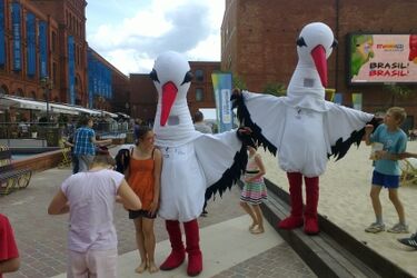 Event na Rynku Kościuszki. Podlaskie jest bocianim rajem