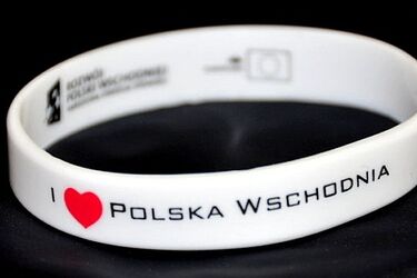 Polska Wschodnia jest zagrożona. PiS: to potwierdzenie nagrań z taśm, rząd: to nieprawda