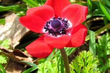 Pogoda na środę. Pogodnie i ciepło