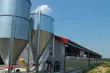Podlaska firma wybudowała supernowoczesną oborę