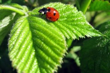 Pogoda na weekend. Trzeci stopień zagrożenia upałami