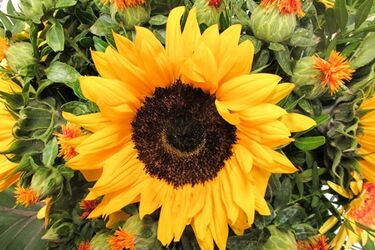 Pogoda na środę. Upały zelżeją, przelotnie popada deszcz