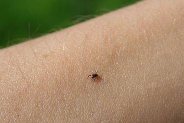 Nowoczesny sprzęt do leczenia chorób odkleszczowych w jednym z podlaskich szpitali