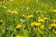 W weekend powrócą wyższe temperatury   