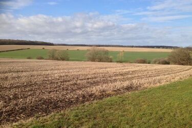 Gigantyczne odszkodowanie od Skarbu Państwa. Ponownie ruszył proces