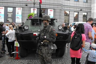 Żołnierze, karabiny i pojazdy specjalne. Wojewódzkie obchody Święta Wojska Polskiego