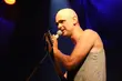 Wystąpi Czesław Mozil, zagrają DJ-e. Trwa festiwal Latający Łysy Pingwin