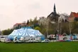 Cyrk Arena odwiedzi Białystok. Będą pokazy lwów