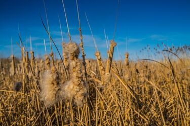 Poniedziałek z umiarkowaną temperaturą