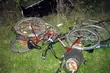 Śmierć trzech rowerzystów. Będzie eksperyment procesowy