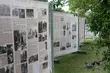 Plenerowa wystawa stanęła w mieście