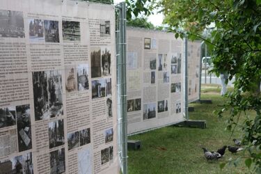 Plenerowa wystawa stanęła w mieście
