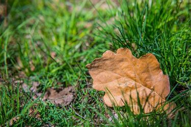 Środa będzie słoneczna