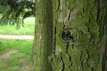 Poniedziałek z większą ilością słońca