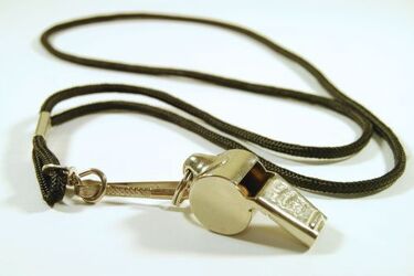 Sędzia piłkarski brał łapówki. Tak orzekł sąd