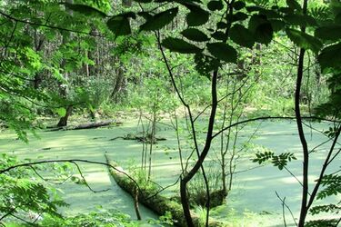Wtorek z przelotnym deszczem