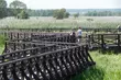 Kładki nad Narwią. Rodzinny weekend na łonie natury
