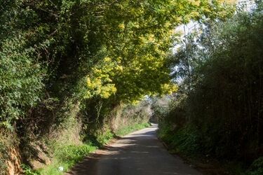 Pogoda na czwartek. Słonecznie i umiarkowanie ciepło