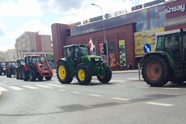Wyższe odszkodowania i więcej odstrzałów dzików. Rolnicy protestują przed urzędem wojewódzkim