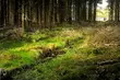Pogoda na piątek. Słonecznie i bez opadów