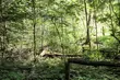 Ostatni weekend wakacji z pogodową przeplatanką