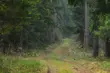 Najsmaczniejsze leśne potrawy i nalewki. Spotkania Hubertowskie