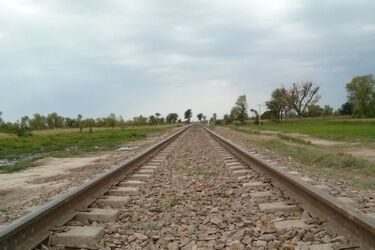 Pociąg potrącił mężczyznę. 56-latek nie żyje